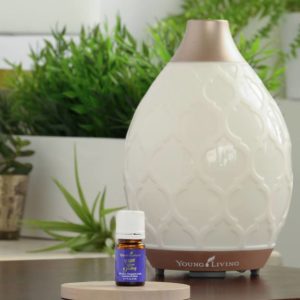 Desert Mist Diffuser